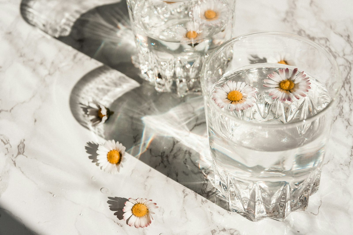 daisy water