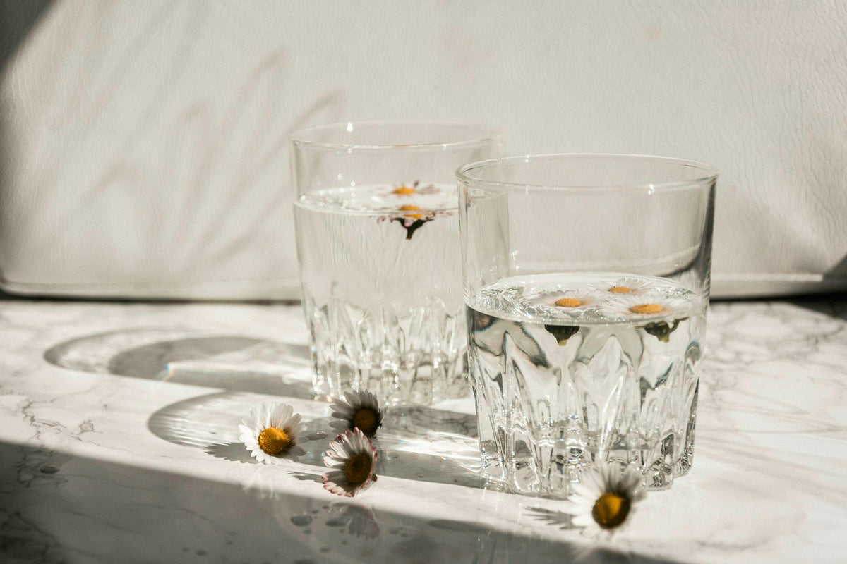 Glasses of water with fresh daisies on marble